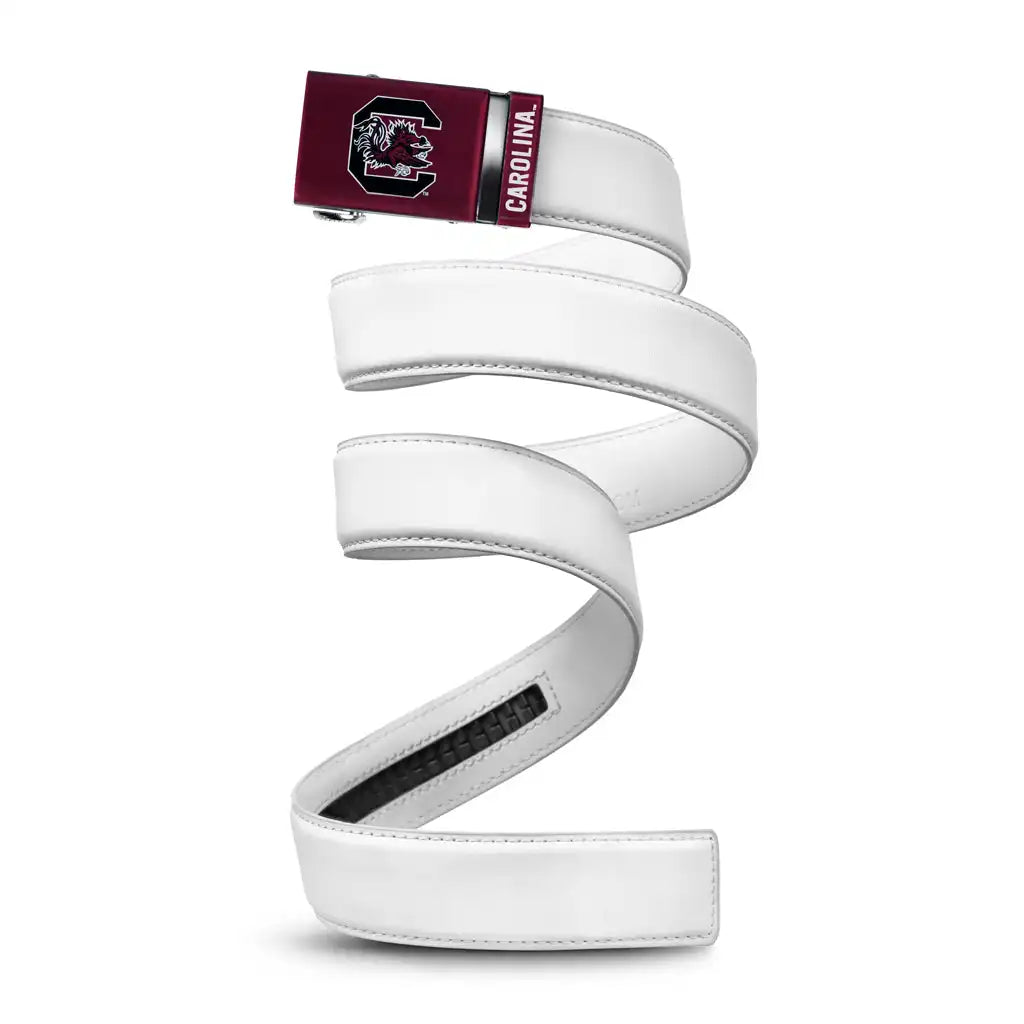 South Carolina Gamecocks