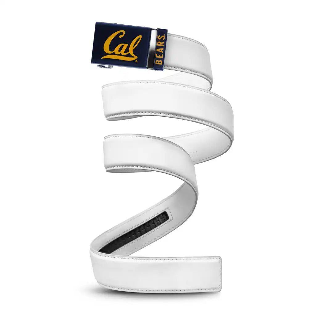 California Golden Bears