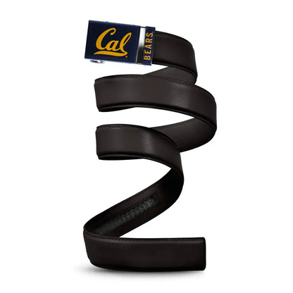 California Golden Bears