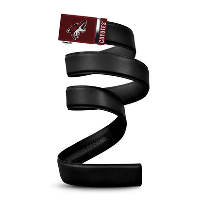 Arizona Coyotes