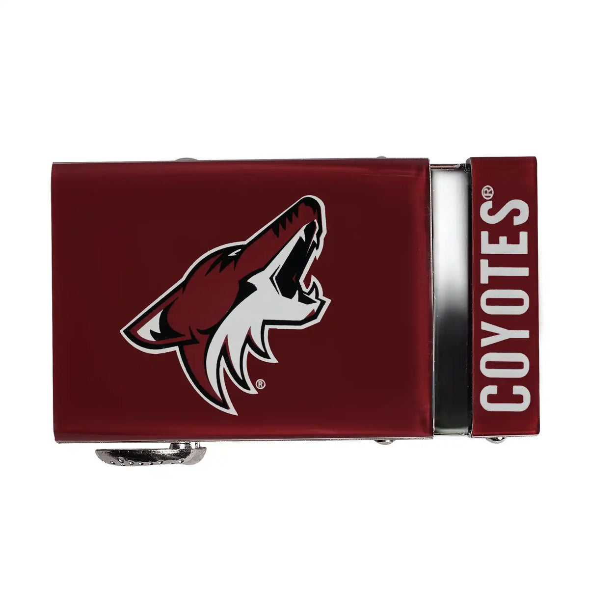Arizona Coyotes