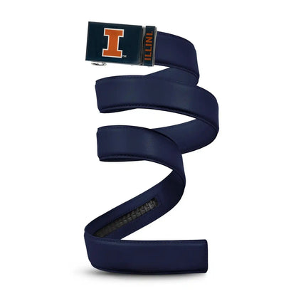 Illinois Fighting Illini