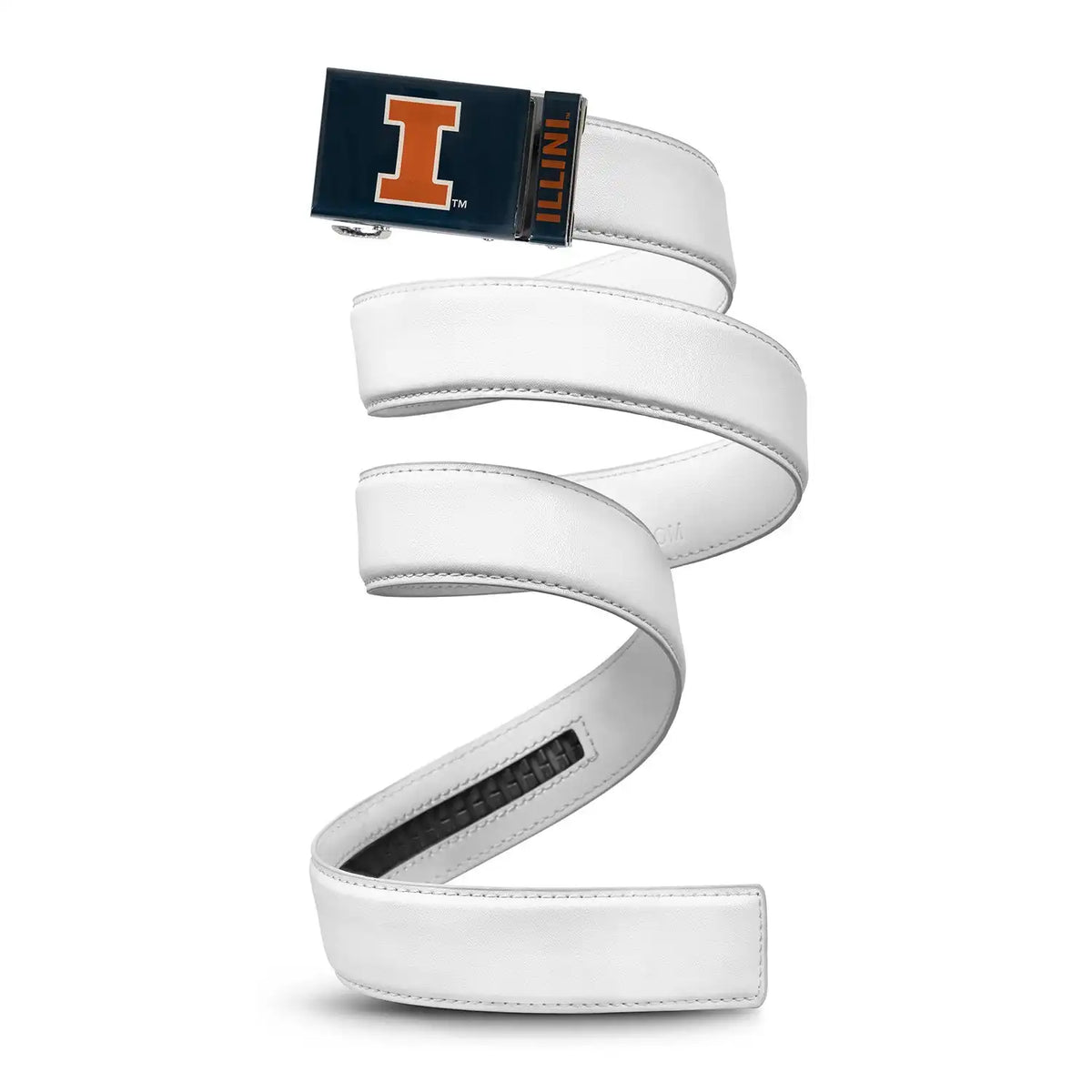 Illinois Fighting Illini