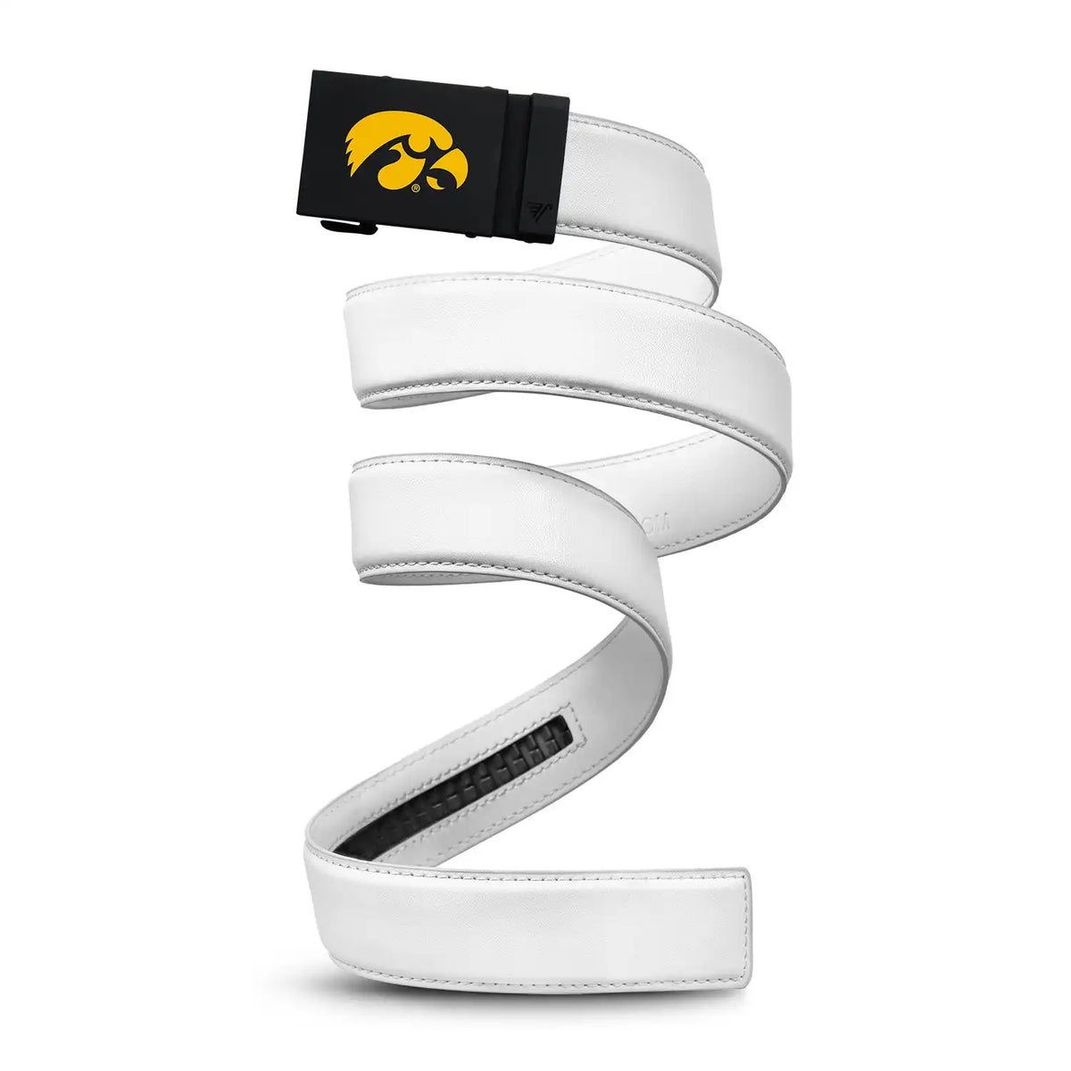 Iowa Hawkeyes