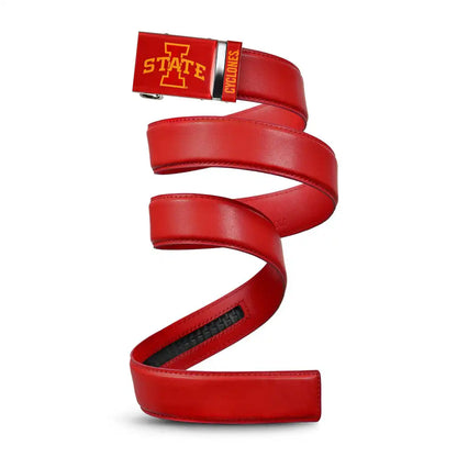Iowa State Cyclones