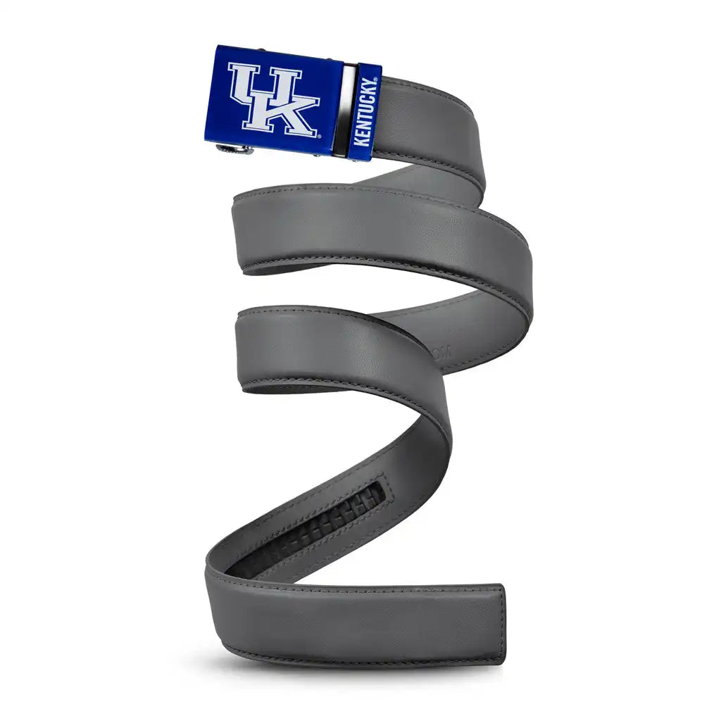 Kentucky Wildcats