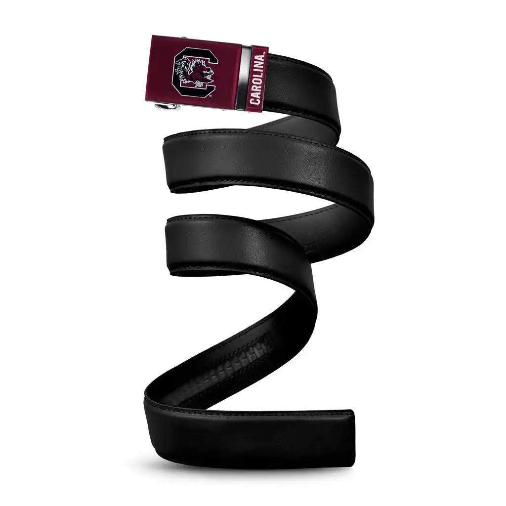 South Carolina Gamecocks