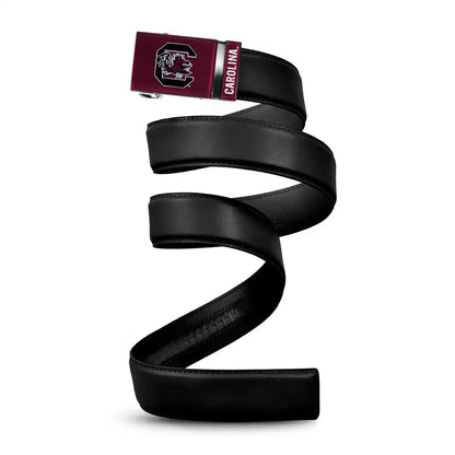 South Carolina Gamecocks