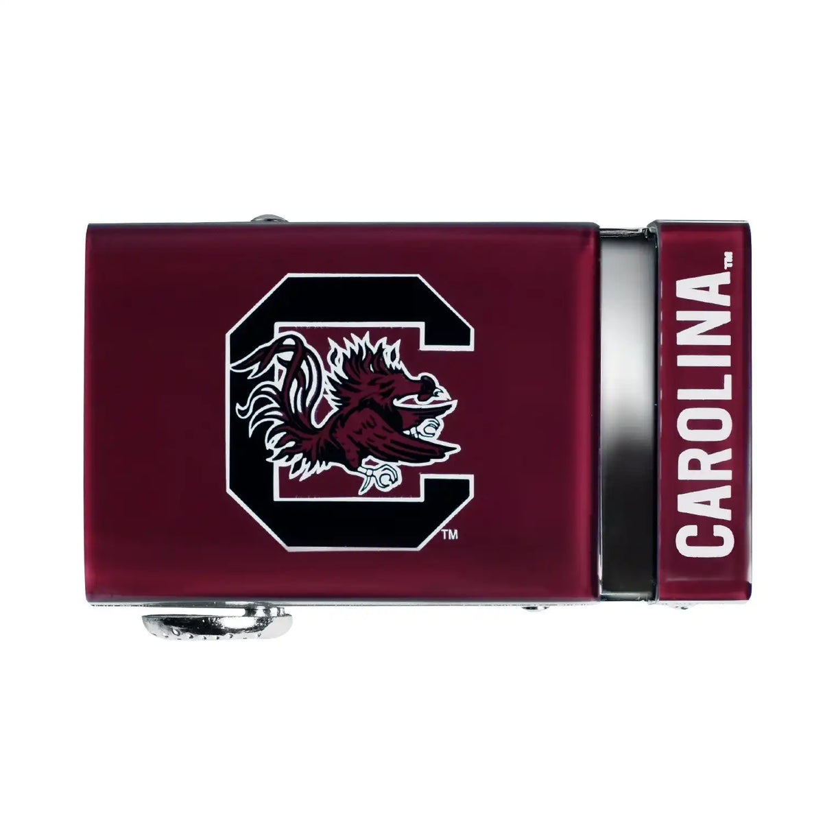 South Carolina Gamecocks