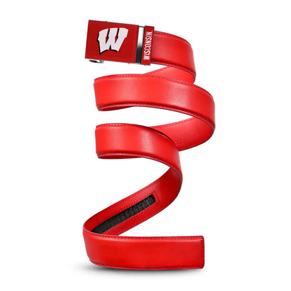Wisconsin Badgers